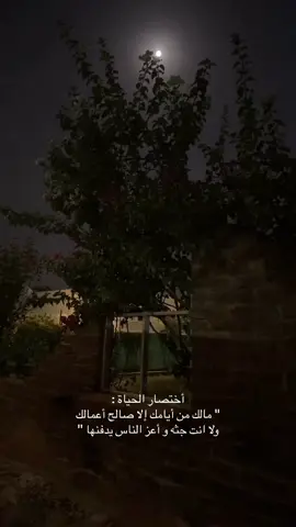 #الانتشار_السريع #CapCut 