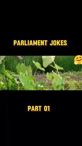 Parliament jokes  සිංහල චිත්‍රපටය  😀😀😀🤗 #short #parlimentjokes😂😂 #ranjanramanayake 