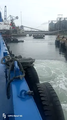 anh ấy nhỏ mà ủi mạnh dữ trời🤣🤣#salancontainer #xuhuongtiktok #mekong 18