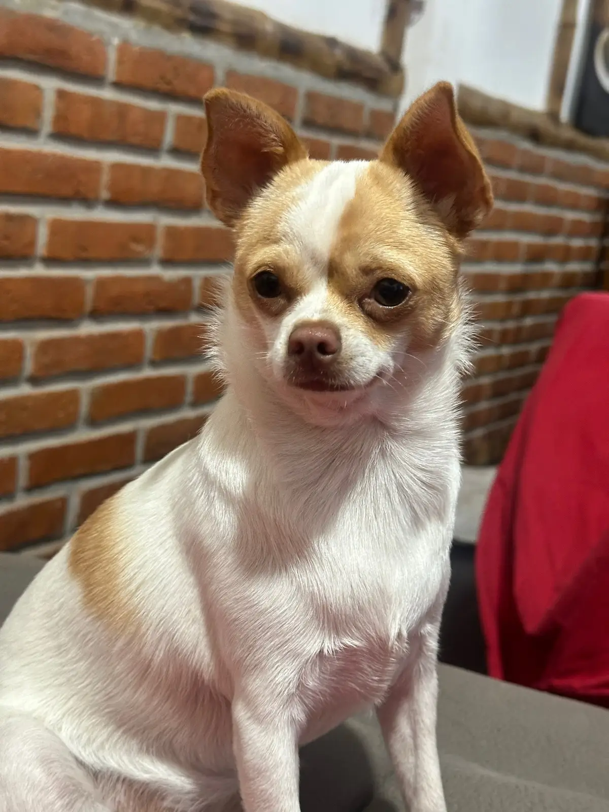 #somoamigueonosomoamigue 