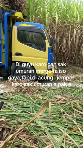😮‍💨#fypシ゚viral #truktebu #komunitastebubalap #fouryourpage #drivermuda #storytruck #sopirtrukpunyacerita #drivermudapunyacerita #tebusragen 