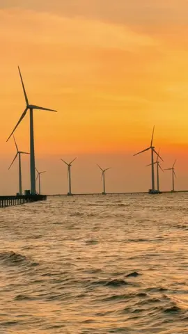 Thứ bạn bỏ ra: 30k/ người.  Điều bạn nhận được: một chiều hoàng hôn nhớ suốt một đời ❤️ Hoàng hôn ở điện gió Bạc Liêu đẹp lắm á #baclieu #diengiobaclieu #CapCut 