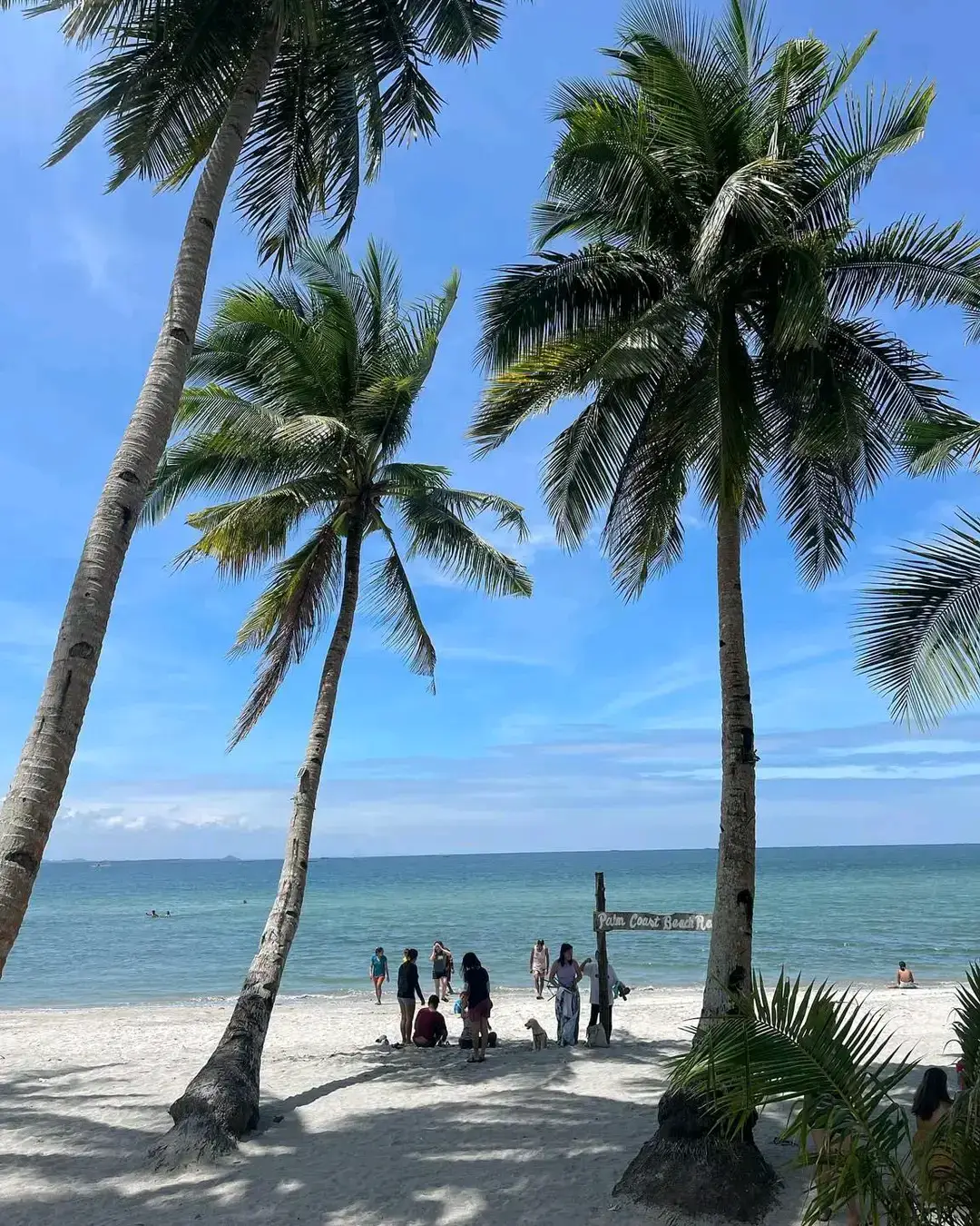 Palm Coast Beach Resort 🌴🌊 📍Basiao, Ivisan, Capiz  LUBUSIN NATIN BAGO BULIK SA DATING GAWI! ☺🥰