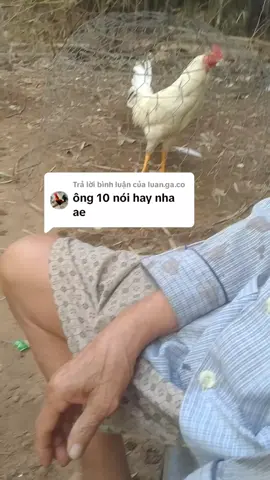 Trả lời @luan.ga.co ông nói có gì không đúng ae bỏ qua nha 