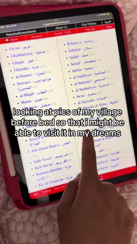 i miss you so much Taytaba. all i want is to breathe your air again. fuck the nakba and fuck israel #fypシ゚viral #arab 