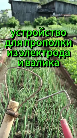 Устройство для прополки из электрода и валика. #деревня #сад #огород #участок #помощник #лайфхак #рекомендации #советы #идеи #идеидлясада #садоводы #грядки #рилс #дачнаяжизнь #инструменты #жизньвдеревне #идеидлядачи #решение #земля #работа #огородники #хозяйство #всаду #садогород #растения #садоводство #дачники #прополка #окучивание #электрод #самоделкины #сделайсам 