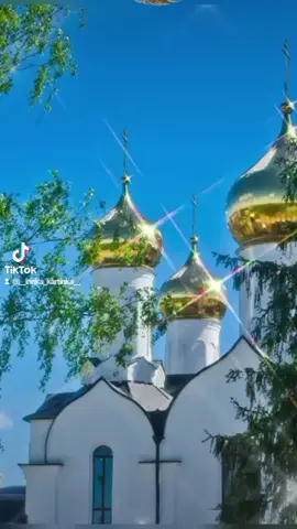 С Троицей! #троицасвятая #спраздникомвсех #святаятроица #строицей #троица #церковныепраздники 