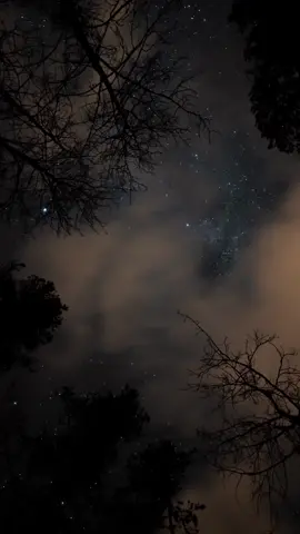 I could stare at the night sky for hours ✨ #nightsky #star #aesthetic #scenery #relax #peace  #nightview🌌 #stargazing 