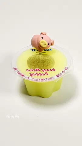 #funnypig #funnypigs #funnyvideos #viral #xuhuong #treanding 