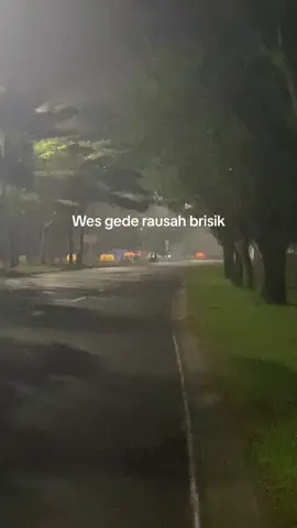 umume cah lanang anak pertama😇