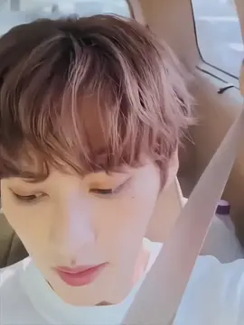 pedido de @mai lvs seung and minho // 🌷˚ ─  ( fancam para videos con texto )  ៸៸ ꜜ  ༘  duración: 37 segundos  ༯ ഒ* ·₊🌸˚.༄  𓂃▸ tags ⌁♡𓏲 ָ࣪ 𓂂 #leeknow #leeminho #minho #leeknowfancam #leeminhofancam #ifvsliv #laufey #fancam #fancamskpop #fancamkpop #ASMR #fyp #KPop #skz #straykids @TikTok @Stray Kids @straykids_japan 