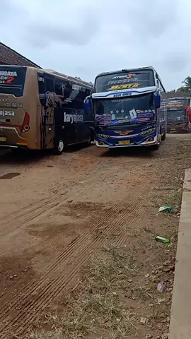 hunting basuri #parkir bus 3 sumber maron  #oleh2 khas SM #warkop Lia #fullsenym 