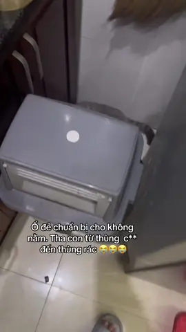 Chuyến lày con Cún tới số với bà già #higaubeo #fypシ゚ 