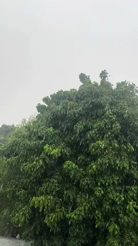 #rain🌨️☁️☔ #inaahmed🦋🇸🇴 🫶🌨️