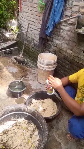 penggemuk ternak #domba #sapi #kambing #peternaksukses 