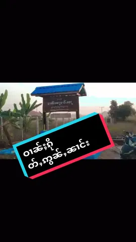 #ဝၢၼ်ႈၵိုတ်ႇဢွၼ်ၼၢင်း#ၸႂ်ထိုင်ၼႃႇ#sheng #foryou #fypシ゚viral #ပၼ်ႁူဝ်ၸႂ်ၽွင်ႈၶ🤟😘😘တေပၼ်ၶိုၼ်းၼႃ😘 
