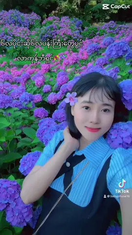 #ဝင်သက်ထွက်သက်များ #၆လပန်း #ဂျပန်ရောက်မြန်မာမလေး😁🇯🇵 #ပန်းလေးတွေမွှေးတယ်မင်းလက်နဲ့ထိရင်🌼🌼🌼 #ပန်းချစ်သူ #tik_tok 