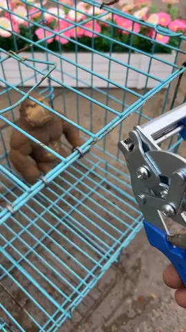 คีมหนีบห่วง แม๊กเย็บกรงนก คีมบีบกรง #คีมหนีบห่วง #แม๊กเย็บกรงนก #คีมบีบกรง 