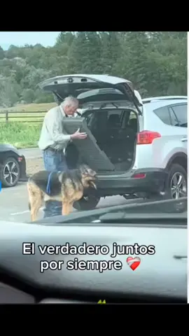 el acto mas Bonito que veras hoy #🥹 #perros #sentimientos #abuelitos #perroviejito #amorperruno #Amor #mascotas #cariño #afecto #oportunidades #fou #fouryou #fyp #para #parati #paratiiiiiiiiiiiiiiiiiiiiiiiiiiiiiii #viralvideo #fouryoupage #tiktok #parati 