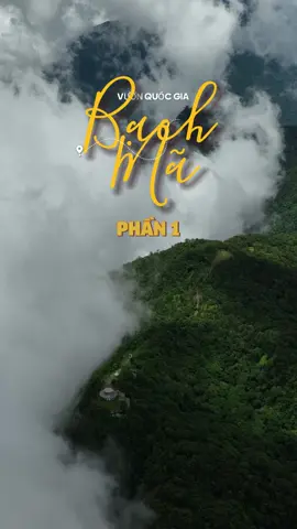 Giải lụa trắng bí ẩn giữa đại ngàn Bạch Mã #LearnOnTikTok #Hue #BachMa #VuonquocgiaBachMa#VisitHue #HelloHue #codohue #lehoi #travel #tiktoktravel #quycoctu #ngotranhaian #travelbloggers