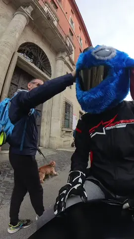 Totalmente inaspettato😂#helmet #copricasco #stitch #reaction 