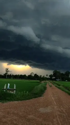 บรรยากาศทุ่งนาหน้าฝน#CapCut #ชิวๆ #ทุ่งนา #ธรรมชาติบําบัด🍃 