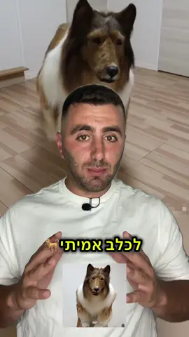 הבן אדם הזה שילם 14 אלף דולר כדי להיראות כמו כלב😱 #כלב #סיפוראמיתי #בעליחיים #הזוי 
