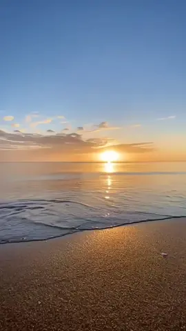 🗿 #fypシ #memes #memestiktok #memevideo #memengakak #memereceh #memelucu #asupanmeme #funnymeme #funnyvideos #humortiktok #xyzbca #foryoupage 