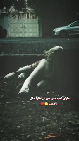 انا مو بخير وماعندي جواب لكلمة شبك.. 💔 #اعادة_النشر🔃 #ضيفوني❤️#آگسـبلور #عبآرة🖤#ستوريات_المتيم👑  #عطوني_عبارات_حلوه🖇️🖤 #متابعه_ولايك_واكسبلور_احبكم #طرب #رواق #تعب #ملل #موجوع #  #fyd #foryou #viralvideotiktok 