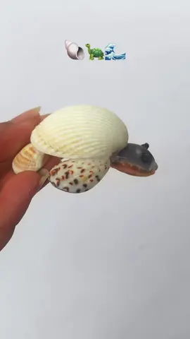 Làm rùa biển từ vỏ sò ốc#seashells #nhonhaiisland #nhonhai #sea #
