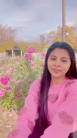 Original Song | හිරැ මැකී යයි Artist | Amila Perera Music | Mahesh Denipitiya Lyrics | Ariyasinghe perera  හිරැ මැකී යයි |  Reels | Shanika Madumali #shanikamadumali #reels #youtubeshort #shortcover #nethusala #hirumakiyai #amilaperera #coversong #trending #sorryforthemistakes #Sing_MovieSong #instareels #instagram #réel #viral #facebook #fanpage #tiktok #youtube 