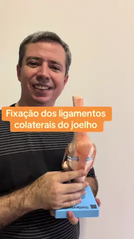 Fixações dos ligamentos colaterais do joelho. não cometa mais nenhum erro. Já pensou cair na sua prova as fixações dos ligamentos colaterais do joelho. O que responder? Anote aí... O Ligamento Colateral Fibular (LCF), ou pode ser chamado de ligamento colateral lateral, fixa-se do epicôndilo lateral do fêmur à face lateral da cabeça da fíbula. O Ligamento Colateral Tibial (LCT) ou ligamento colateral medial, fixa-se do epicôndilo medial do fêmur à face medial do côndilo medial e à parte superior da tíbia. O LCT participa da formação da cápsula articular, portanto, as fibras profundas estão fixadas ao menisco medial. Ponto inportante, este ligamento e o menisco são os elementos que mais sofrem lesões durante a prática de esporte. Gostou? Você sabia? Comente, curta, compartilhe e salve. Ah, se ainda não me segue...já segue ai. Pega a dica #ramosanatomia Professor de anatomia e neuroanatomia, Brasil. . . . . . . . . . . #med #medicina #domingo #tbt #cursinho #vestibular #anatomia #estudante #estudo #prof #domingou #plantão #profrogerio