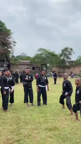 alhamdulillah lancar dan aman, tes pendadaran calon warga ranting pakusari #psht #pshtpusatmadiun #pshtindonesia22 #psht1922 #pshtjember #pshtrantingpakusari 