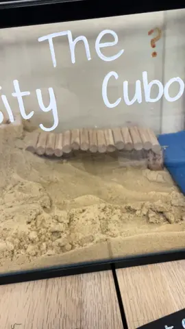 Curiosity cube ✨  As part of our geography unit ‘features of a seaside town’ we’ve set up this curiosity cube to help children write about ‘features’ they have learnt and ones they can’t see.  For example, pier, coast, promenade  #seaside #town #geography #curiositycube #curiosity #beach #coast #setup #classroom #yearone #ks1 #teacher #classroomactivity #teacheroftiktok #fyp #foryou #foryoupost 