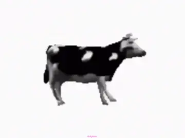 polish cow #polishcow #fy #lyrics #tipografia #fyp #viral 