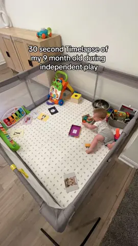 Pulls out EVERY TOY, every time 🤣😂 #independentplay #wakewindows #9monthsold #babyplay #babyplaying #babyplaytime #playpen 