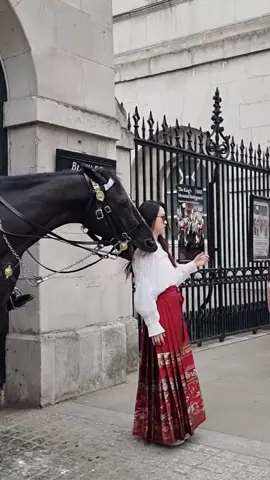 Big Mistake. This is the famous King's Horse ORMONDE at Horse Guards #kingsguard  Full Video? Link 8n Bio. 
