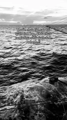 Thưa anh em dề #đời #story #anhemxahoi #anhem #tamtrang 