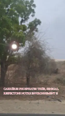 Le développement de l'Afrique repose avant sur l'Agriculture. Les mines causent d'énormes dégâts environnementaux. #mines  #acfao 