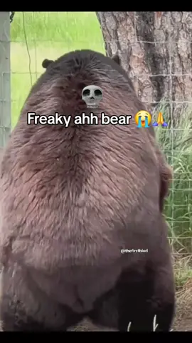 #funny #bills #viral #foryoupage #dog #donpollo #billcollector 