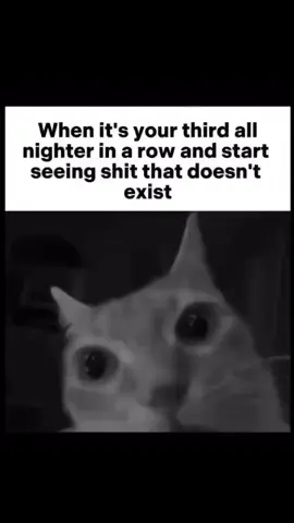 #funny #funnyvideo #funnyvideos #funnyvideos😂 #funnymoments #funnytiktok #funnyy #funnymeme #funnymemes #funnymemesdaily #funnyedit #funnyedits #fyp #fypシ゚viral #fy #fypp #fyy #fypage #for #fypシ゚ #foryou #foryoupage #foryourpages #foryourpage #meme #memes #memestiktok #memetiktok #memesdaily #memes😂 #memesrandom #random #randommeme #randommemes #randomvideo #randomvideos #randomcontent #randomfunnyvideo #randomfunnyvideos #randomedit #randomedits #shitpost #shitposting #shitpostingmeme #shitpostingmemes #shitpostmeme #shitpostingviral #shitpostings #shitposts #edit #edits #editss #relatable #relatablememe #relatablememes #relatablecontent #relatablevideos #relatablevideo #relatablecomedy #relatabletiktoks #relatabletiktok #relatableedit #relatableedits #relatablequotes #relatableclip #relatableclips #pov #povs #povmeme #povmemes #goofy #goofyahh #nocontext #nocontextpeople #nocontexthuman #nocontexthumans #nocontextclip #nocontextclips #nocontextvideo #nocontextvideos #nocontextmeme #nocontextmemes #nocontextedit #outofcontext #nocontextcontent #outofcontextcontent #outofcontextmemes #outofcontextvideo #outofcontextvideos #outofcontextclip #outofcontextclips #outofcontextpeople #outofcontexthuman #outofcontexthumans #edgy #edgymeme #edgymemes #edgymemesforedgyteens #edgyedit #edgyedits #edgyjoke #edgyjokes