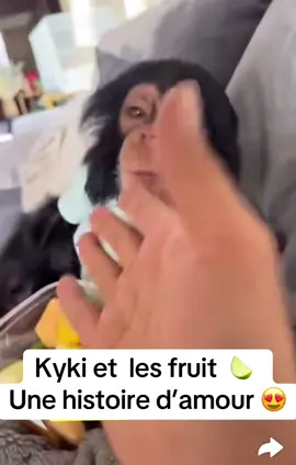 #foryou #pourtoi #tiktok #fyp 