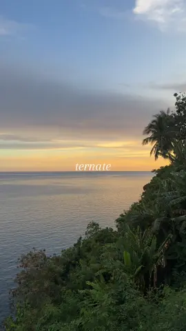 missing ternate hours :/