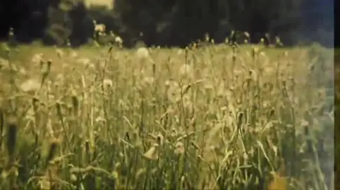 value of faith ❣️  #suleiman khatani lecture  #trending #fyp 