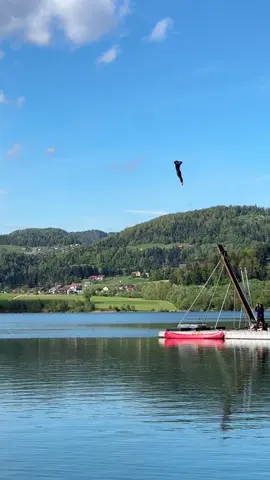 DIY human launcher 🚀 #performedbyprofessionals 