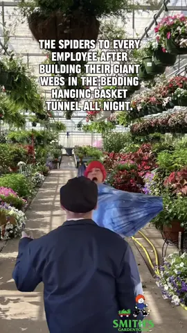 🕷️🕸️The spiders to every employee after building their giant webs in the bedding hanging basket tunnel all night🕸️🕷️. #smithsgardentown #spiderbespidering #spiders #webmaking #yourlocalgardensuperstore #letsgrow #wichitafallstx #meme #meemreel #relatable #gardencenterfun  #MemeCut  #Meme