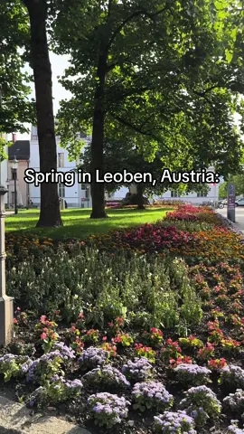Always unexpected 🇦🇹  #fyo #austria🇦🇹 #springvibes #weatheringwithyou #tiktok #foryou #leoben 