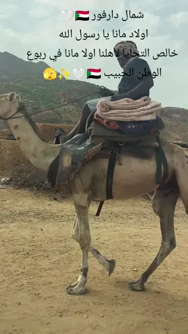 البدو🤍🫣✨🇸🇩 شمال دارفور  # دارفور الحب ربنا يصلح حال البلاد والعباد / اولاد مانا يا رسول الله 🇸🇩✨😘