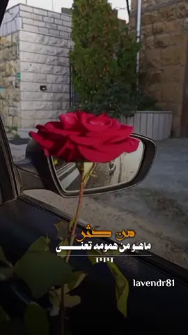 من كثر ما هو من همومه تعنى #نادر_الشراري #وين_خله #شيلات #شيلات_حزينه #لايك_متابعه_اكسبلور #explore #اكسبلور #تصويري #lavendr81 #flower #rosé #السعودية #CapCut 
