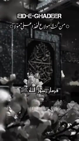 قال رسول اللہ ﷺ ○من کُنتٌ مــــــــولا ع فھٰذا علــــــــیٌٗ مولأ○ جس کا میں (محمد) ﷺ مولا ہوں اُس کا علیؑ مولا ہے #eidghadeer #ghadeer #alimola #yarasoolallah #ahlebait #sahaba  #whatsappstatus #fyp #viral 